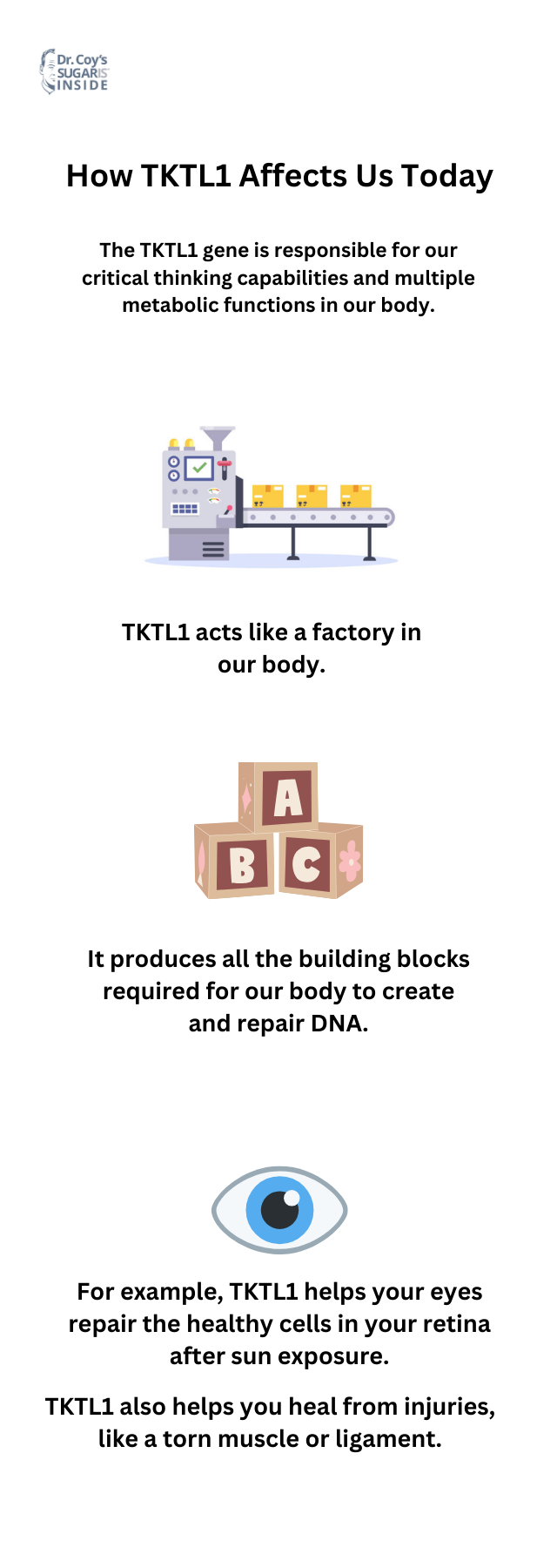Infographic showing how the TKTL1 gene is responsible for our critical thinking capabilities and multiple metabolic functions within our body