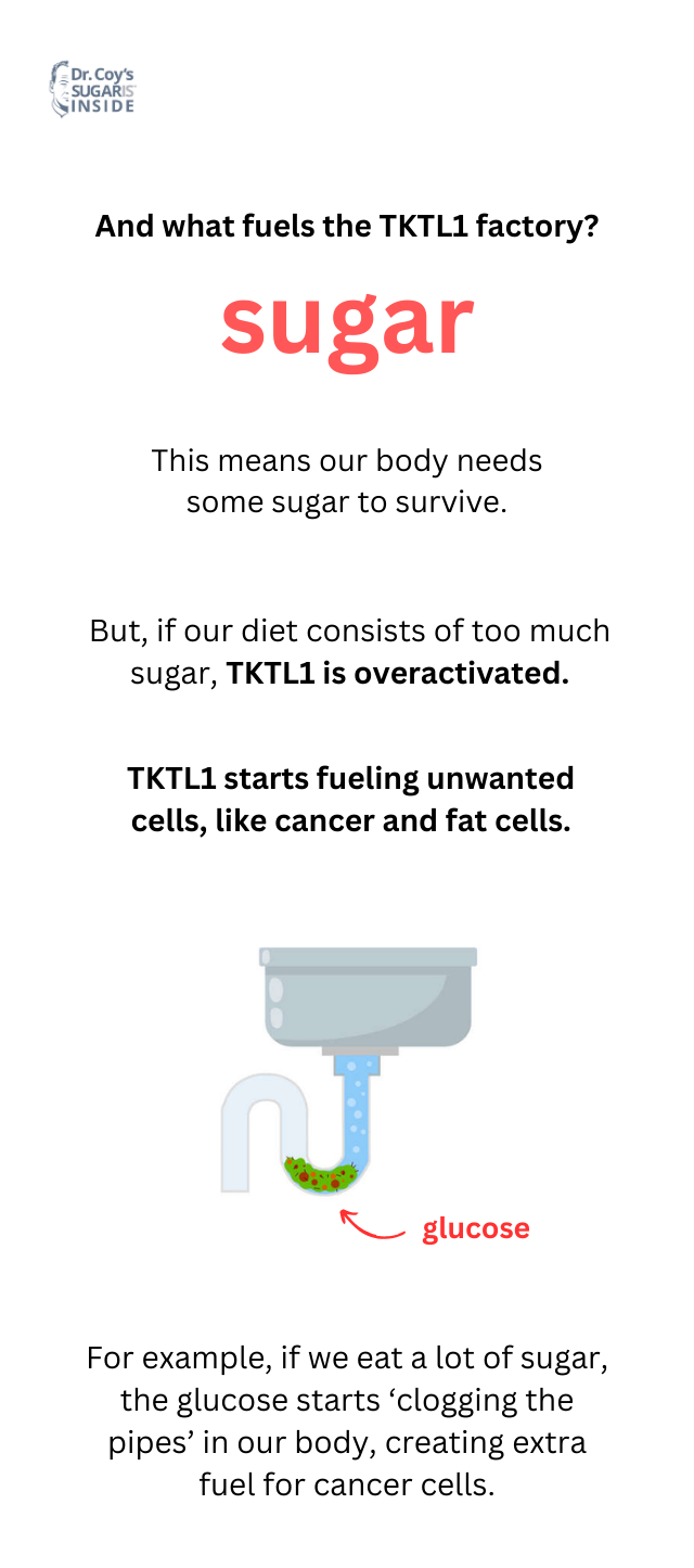 Infographic explaining that if our diet consists of too much sugarTKTL1 is overactivated and starts fuelling unwanted cells like cancer and fat cells.